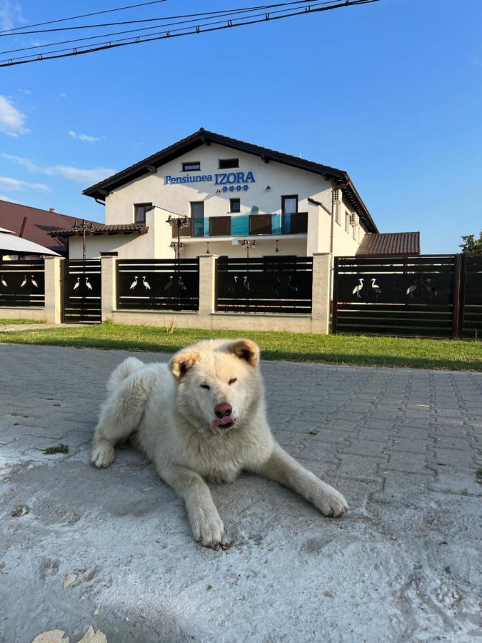 Pensiunea Izora Crisan  Buitenkant foto