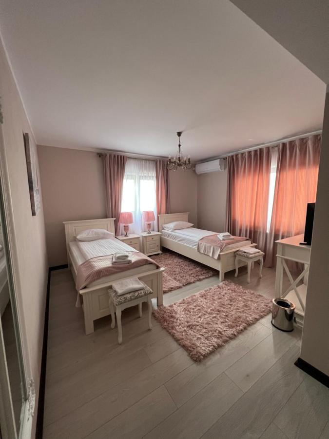 Pensiunea Izora Crisan  Buitenkant foto