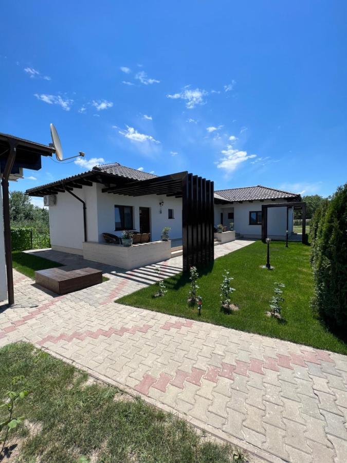 Pensiunea Izora Crisan  Buitenkant foto